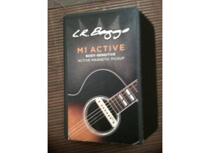 M Guitars LR baggs m1 actif