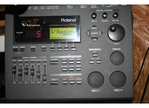 Roland TD-10 (637)