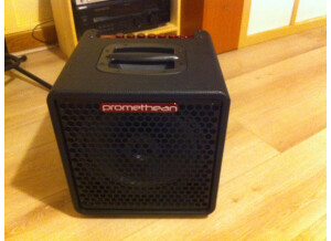 Ibanez P3110 (98671)