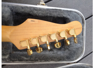 Godin Acousticaster Limited Edition (75608)