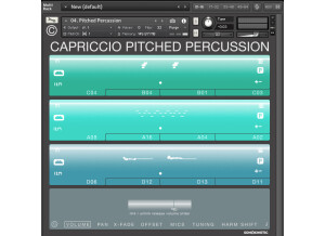 Pitched Percussion