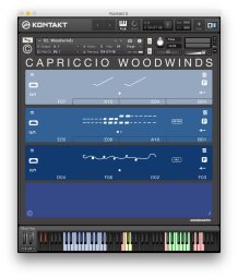 Sonokinetic Capriccio Sonokinetic Capriccio