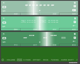 Sonokinetic Capriccio Sonokinetic Capriccio