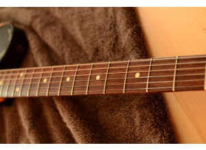 Fender Joe Strummer Telecaster (62343)