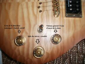 Cort Z-Custom