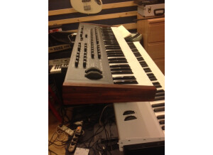 Dave Smith Instruments Prophet ?08 Pot Edition (89608)