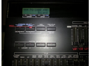 Roland PG-1000 Synth Programmer (65071)