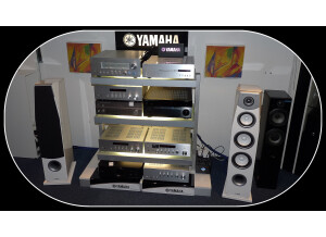 Yamaha ns - f 901 soavo