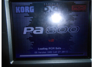 Korg Pa800 (34820)