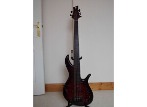 F Bass AC5 (67285)