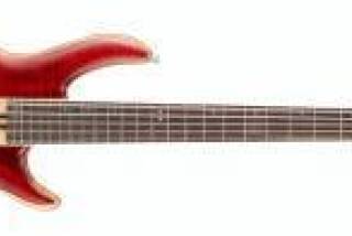 Cort Artisan A5