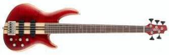 Cort Artisan A5