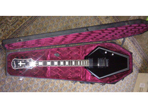 Epiphone Zakk Wylde Graveyard Disciple (11477)