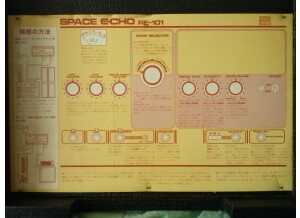 Roland RE-101 Space Echo (75210)