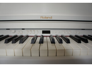 Roland RP301R