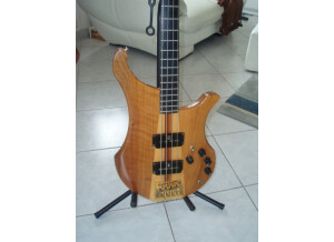 Vigier Arpege Bass (41399)