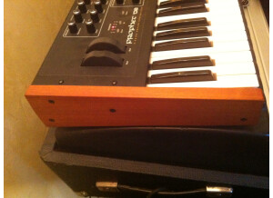 Dave Smith Instruments Prophet ?08 Pot Edition (84827)