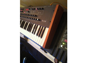 Dave Smith Instruments Prophet ?08 Pot Edition (81963)