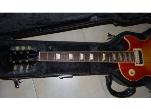Gibson Les Paul Standard Faded '50s Neck (77980)