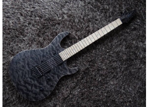 Carvin DC600 (64533)