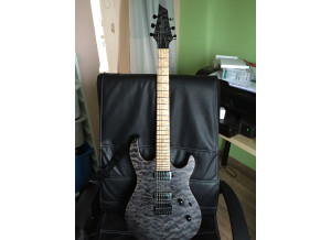 Carvin DC600 (96577)