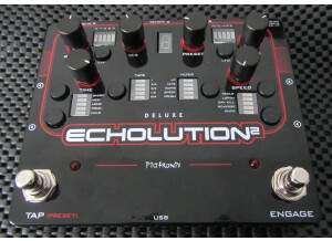 Pigtronix Echolution 2 Deluxe (51776)