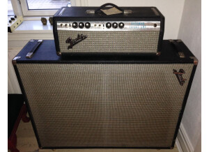 Fender Bassman 50 (Silverface) (87742)