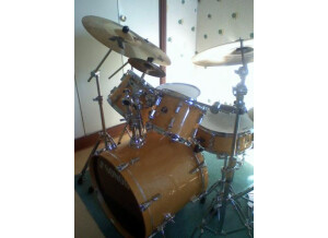 Sonor force 2007 (81311)