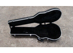 Gator Cases GC-LPS (70139)