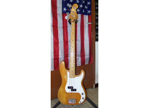 Fender Precision Bass (1976) (95683)