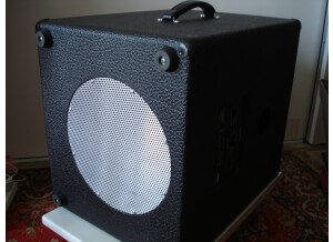 Mesa Boogie Walkabout Scout cab 15