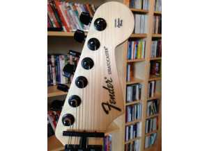 Fender FSR 2013 Standard Stratocaster HSS Swirl