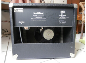 Fender Champion 110 (52871)