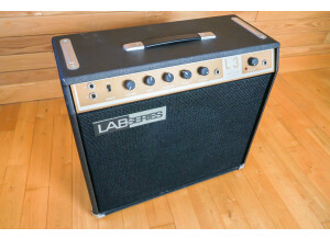 Gibson Lab series L3