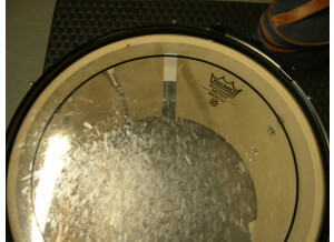 Pearl EX 13" x 10" system ISS