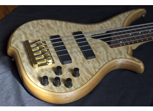 Tune Guitar Technology TWB5QP