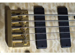 Tune Guitar Technology TWB5QP