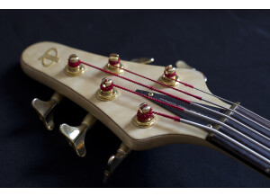 Tune Guitar Technology TWB5QP