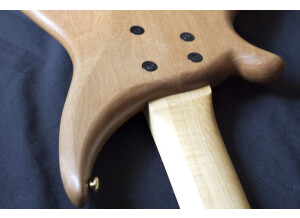 Tune Guitar Technology TWB5QP