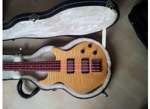 Gibson Les Paul Money Bass (47274)