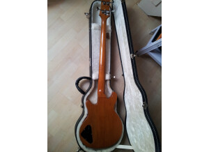 Gibson Les Paul Money Bass (33085)