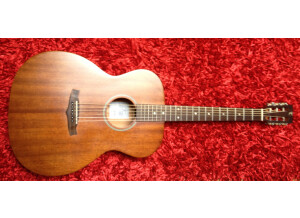 Tanglewood TW130 ASM (6043)