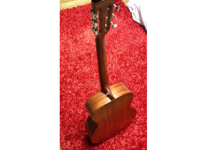 Tanglewood TW130 ASM (45218)