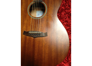 Tanglewood TW130 ASM (14532)