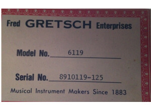Gretsch G6119 Tennessee Rose (92733)