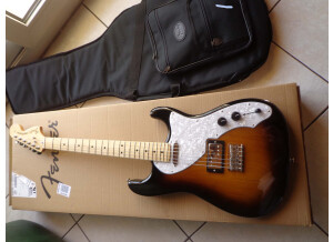 Fender Pawn Shop '70s Stratocaster Deluxe (60333)