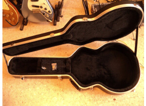 Gator Cases GC-335 - Semi-Hollow Style Guitar Case (43467)
