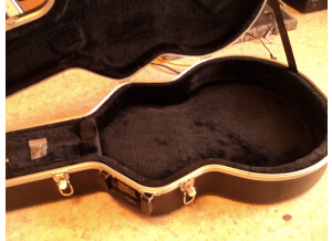 Gator Cases GC-335 - Semi-Hollow Style Guitar Case (49767)