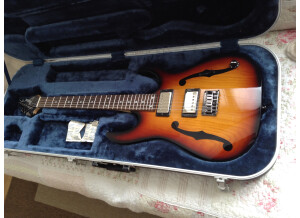 Ibanez PGM401 (72595)