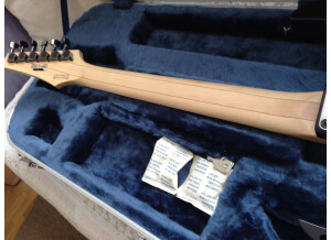 Ibanez PGM401 (14850)